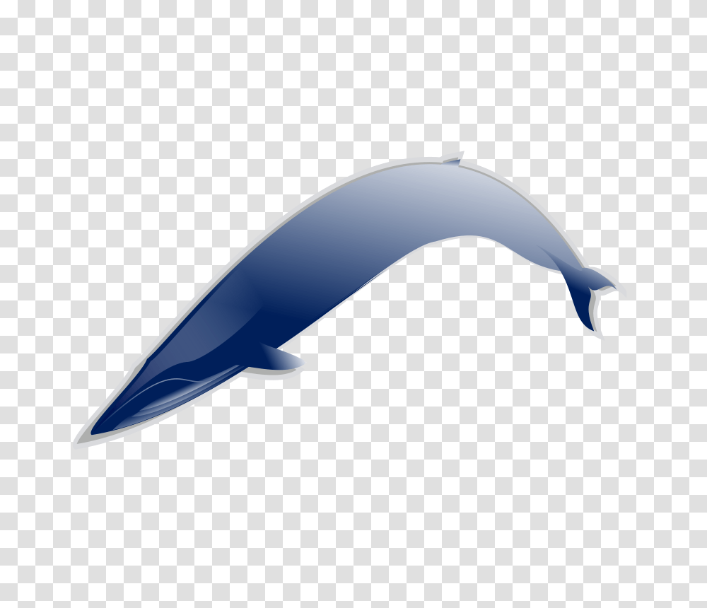Humpback Whale Drawings For Sale, Sea Life, Animal, Mammal, Dolphin Transparent Png
