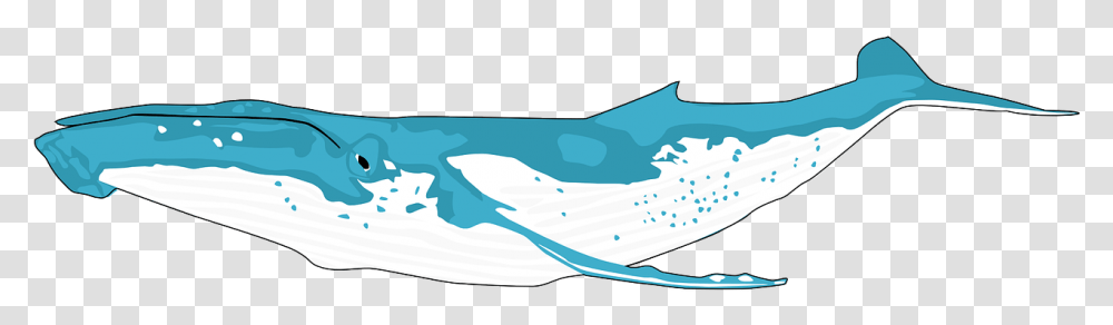 Humpback Whale Outline, Tub, Outdoors, Nature Transparent Png