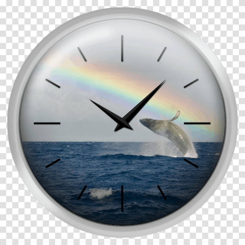 Humpback Whale Rainbow Breach Wall Clock, Analog Clock, Bird, Animal, Window Transparent Png