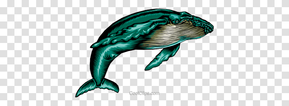 Humpback Whale Royalty Free Vector Clip Art Illustration, Mammal, Sea Life, Animal, Bird Transparent Png