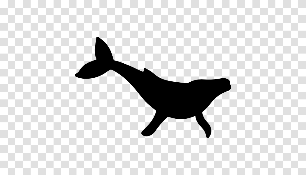 Humpback Whale Shape, Silhouette, Stencil, Mammal, Animal Transparent Png