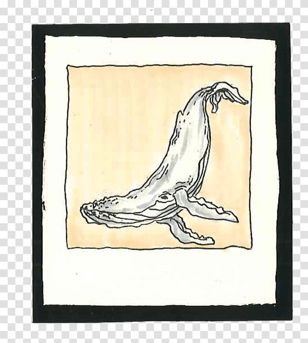 Humpback Whale Sketch, Art, Painting, Bird, Animal Transparent Png