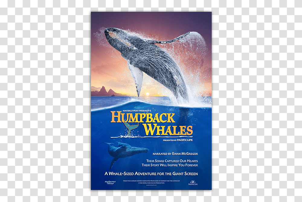 Humpback Whales Poster Humpback Whales Movie Poster, Sea Life, Animal, Mammal, Advertisement Transparent Png