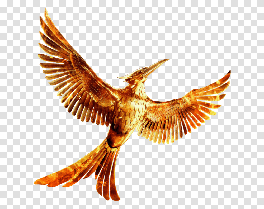 Hunger Games Logo Hunger Games Mockingjay, Bird, Animal, Kite Bird, Flying Transparent Png