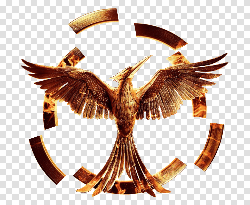 Hunger Games Mockingjay, Eagle, Bird, Animal, Dinosaur Transparent Png