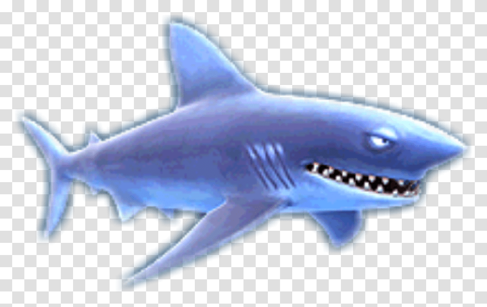 Hungry Shark Wiki Hungry Shark Evolution, Sea Life, Fish, Animal, Great White Shark Transparent Png