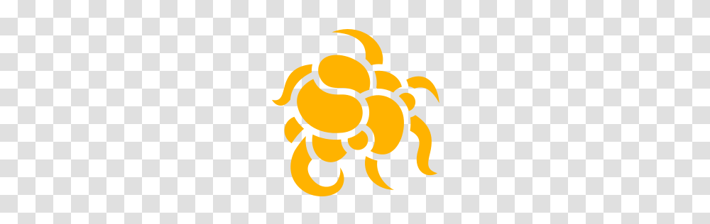 Hunting Bugs, Food, Seafood, Crab, Sea Life Transparent Png