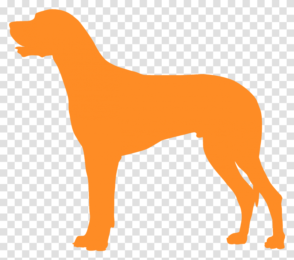 Hunting Dog, Mammal, Animal, Horse, Deer Transparent Png