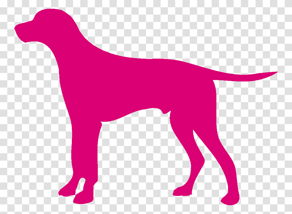 Hunting Dog, Mammal, Animal, Pet, Canine Transparent Png