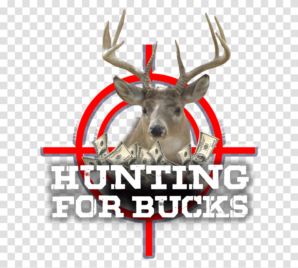 Hunting For Bucks Sca Gaming Reindeer, Antelope, Wildlife, Mammal, Animal Transparent Png