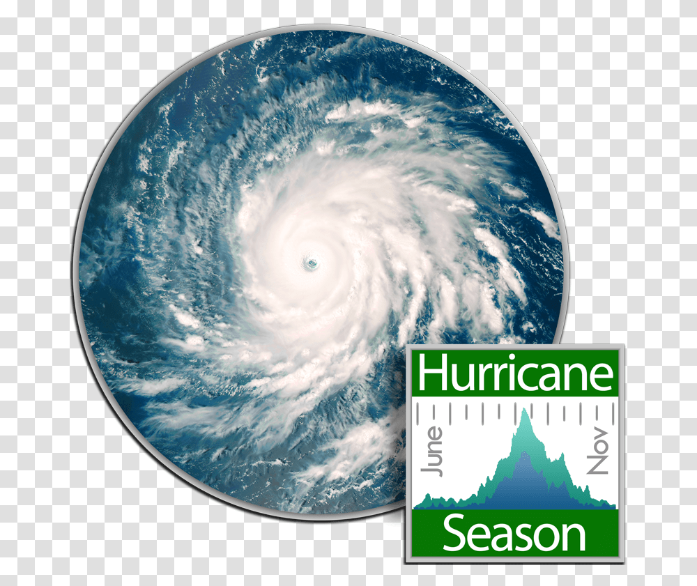 Hurricane Igor, Nature, Storm, Bear, Wildlife Transparent Png
