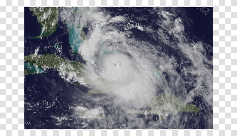 Hurricane Matthew Florida Sturm, Nature, Storm, Bear, Wildlife Transparent Png