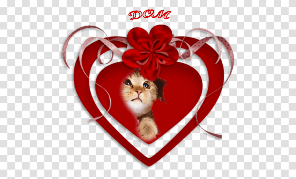 Husband Love Romance Wife Clip Art Kitten, Cat, Pet, Mammal, Animal Transparent Png