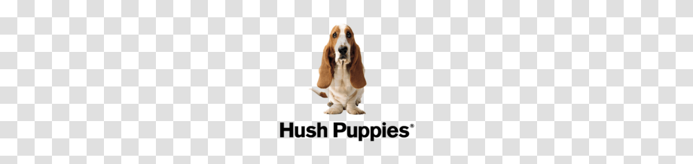 Hush Puppies, Hound, Dog, Pet, Canine Transparent Png