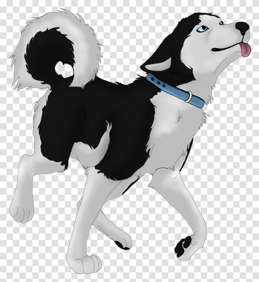 Husky, Animals, Pet, Mammal, Canine Transparent Png