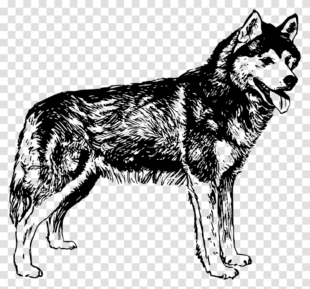 Husky Dog Clipart Graphic Library Library Clipart Husky Black And White, Gray Transparent Png