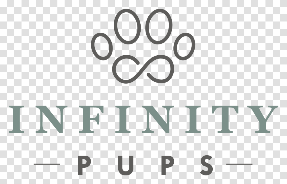 Husky Puppy, Alphabet, Word Transparent Png
