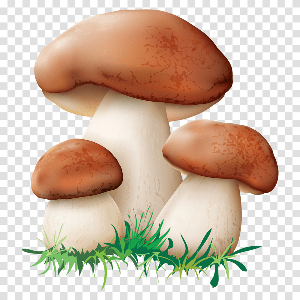 Hut Clipart Mushroom Mushrooms Clipart, Fungus, Plant, Amanita, Agaric Transparent Png