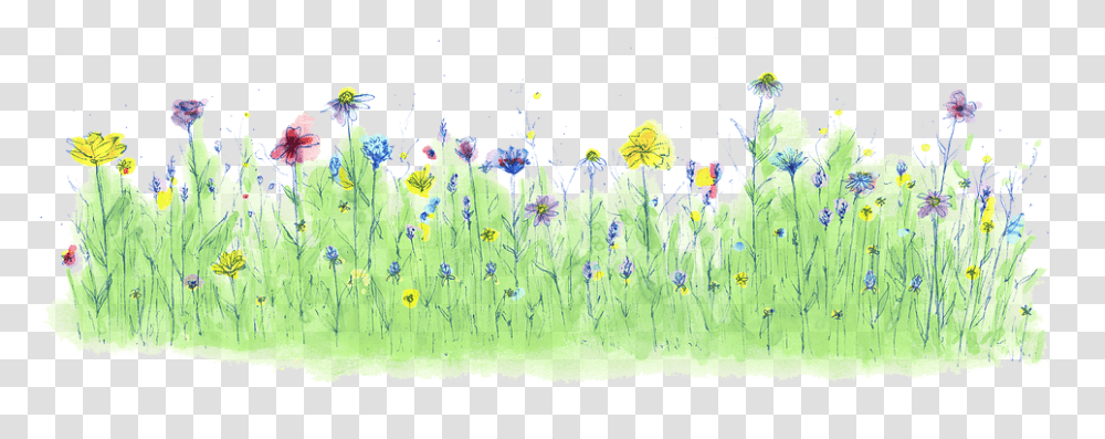 Huw Prosser Dandelion Full Size Download Seekpng Flower Grass Watercolor, Art, Graphics, Pattern, Floral Design Transparent Png