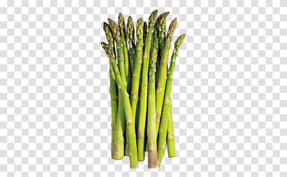 Hy Asparagus, Plant, Vegetable, Food, Banana Transparent Png