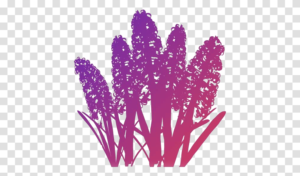 Hyacinth Flower Free Clipart Flower, Plant, Vegetable, Food, Purple Transparent Png