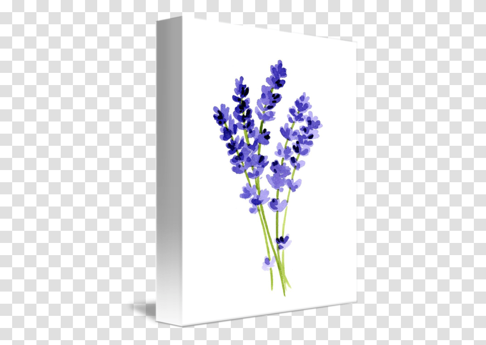 Hyacinth Lavender Painting, Plant, Flower, Blossom, Rug Transparent Png