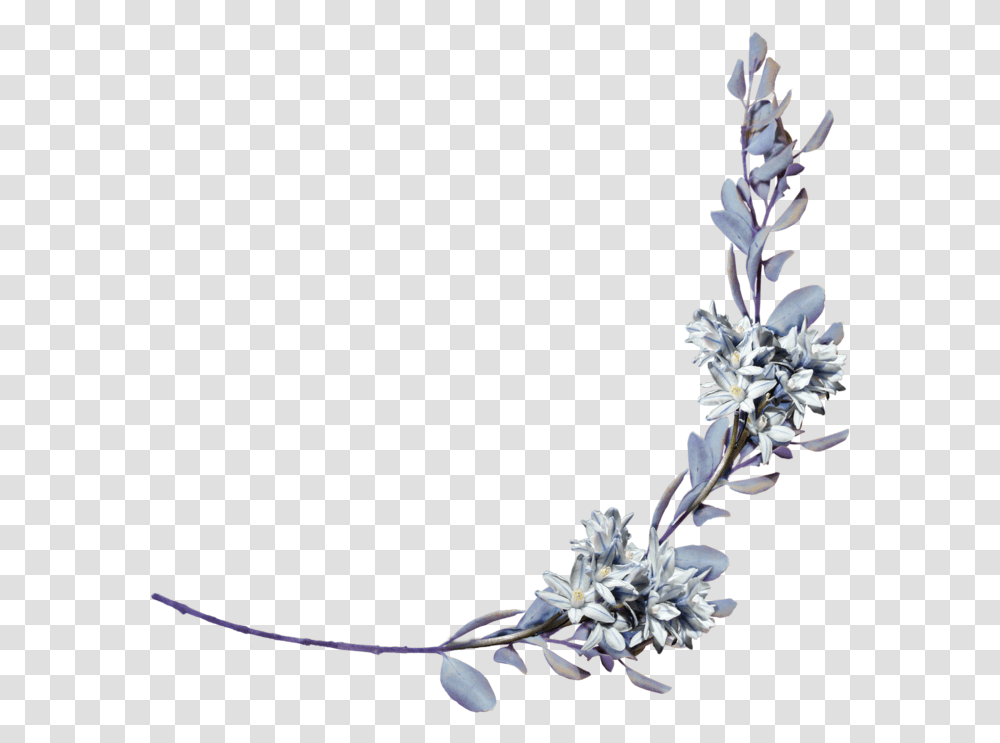 Hyacinths With A Laurel Branch By Amalus D4jhzppright Shayari Hinglish, Plant, Flower, Petal Transparent Png