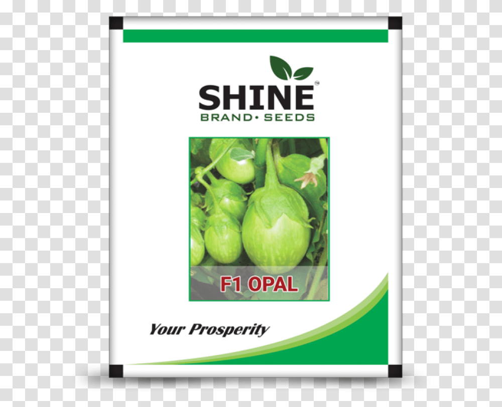 Hybrid Brinjal Seeds F1 Opal Shine Seeds, Plant, Vegetable, Food, Produce Transparent Png