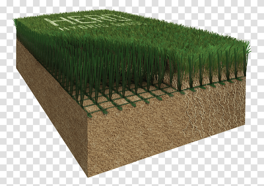 Hybrid Grass, Rug, Plant, Fence, Bamboo Transparent Png