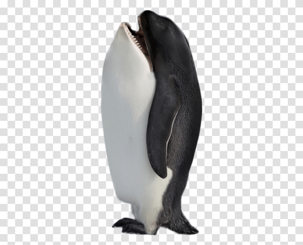 Hybrid Penguin Killer Whale Image Purepng Free Animal Hybrids Meme, King Penguin, Bird Transparent Png