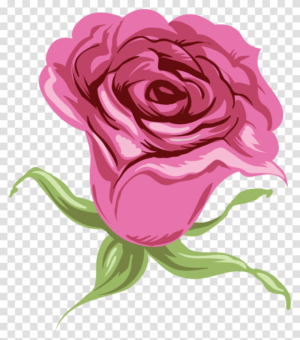 Hybrid Tea Rose, Flower, Plant, Blossom, Carnation Transparent Png