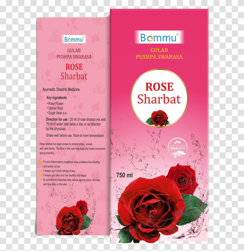 Hybrid Tea Rose, Flyer, Poster, Paper, Advertisement Transparent Png