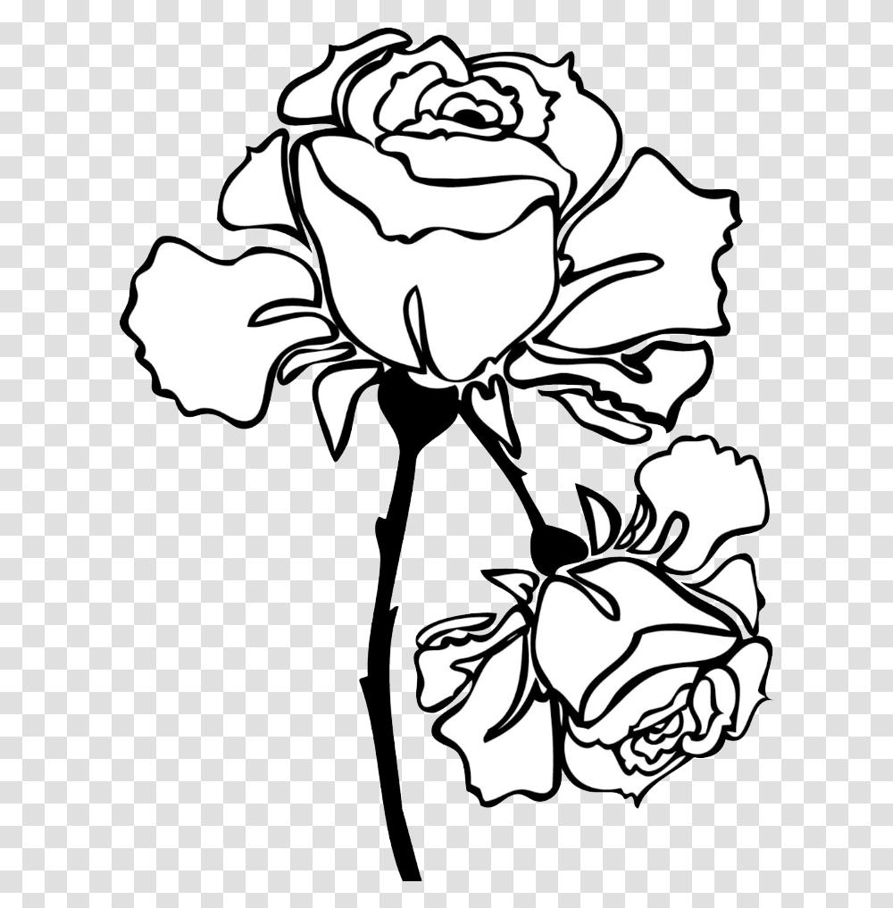 Hybrid Tea Rose, Floral Design, Pattern Transparent Png