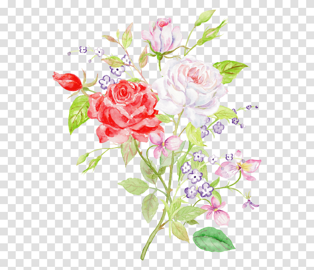 Hybrid Tea Rose, Floral Design, Pattern Transparent Png
