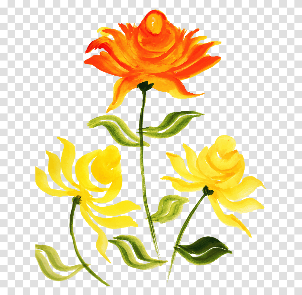 Hybrid Tea Rose, Plant, Flower, Blossom, Floral Design Transparent Png