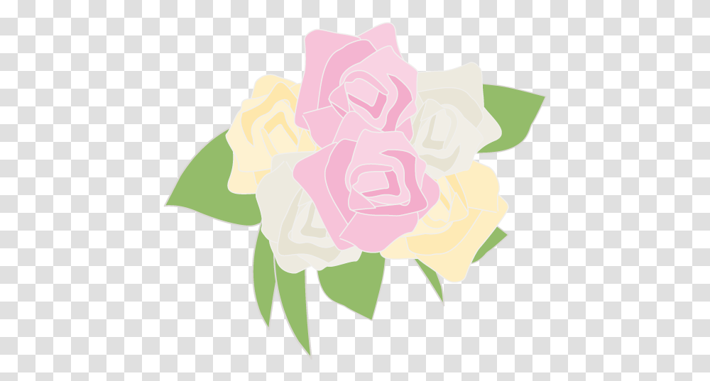 Hybrid Tea Rose, Plant, Flower, Blossom Transparent Png