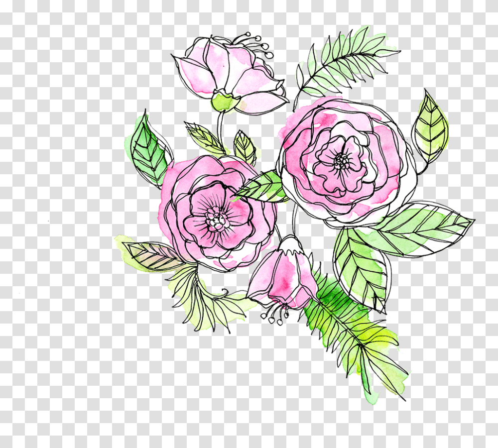 Hybrid Tea Rose, Plant, Flower, Vegetable, Food Transparent Png