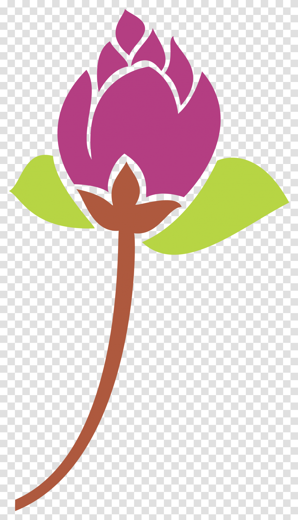 Hybrid Tea Rose, Plant, Flower Transparent Png