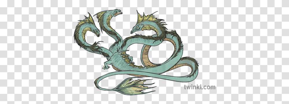 Hydra Illustration Dragon Transparent Png