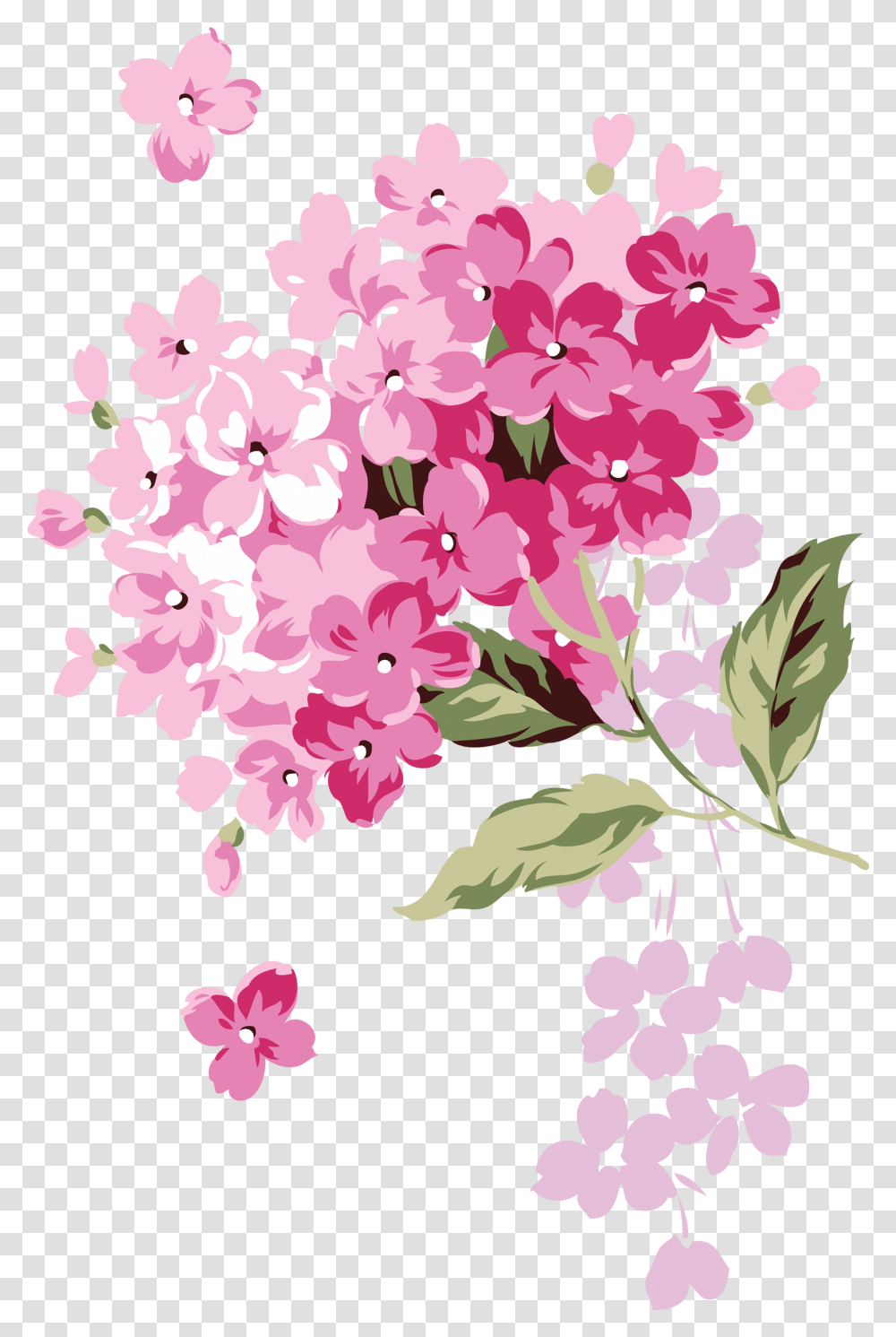 Hydrangea Adobe Illustrator Flower Design, Plant, Blossom, Graphics, Art Transparent Png