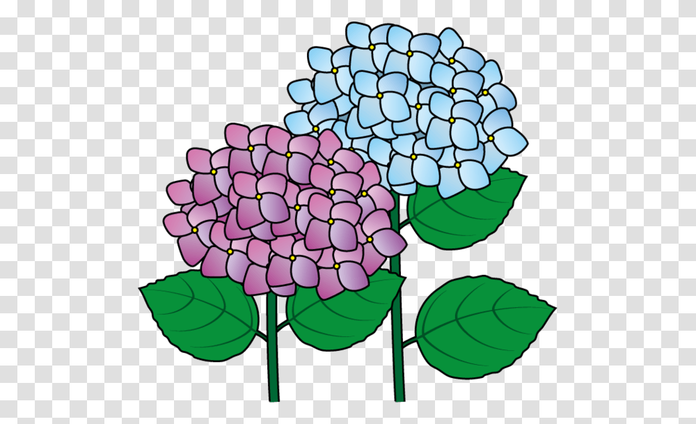 Hydrangea Clip Art Clipart Hydrangea, Plant, Flower, Lamp, Graphics Transparent Png