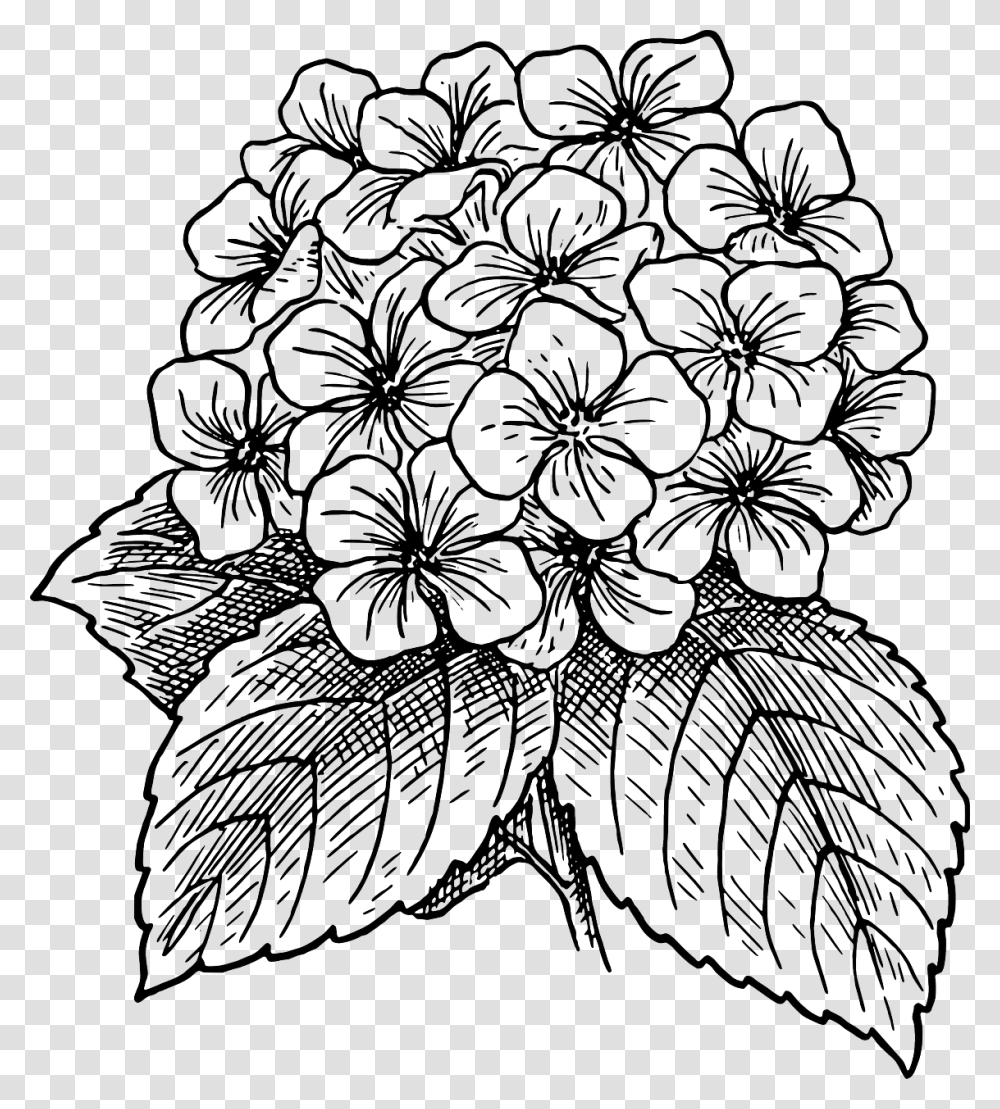 Hydrangea Clipart Black And White, Floral Design, Pattern, Plant Transparent Png