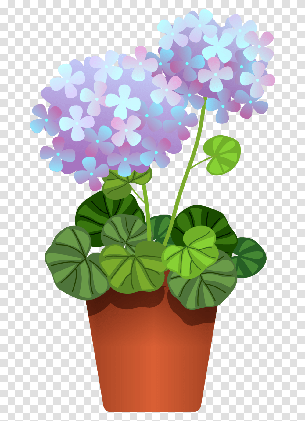 Hydrangea, Green, Floral Design Transparent Png
