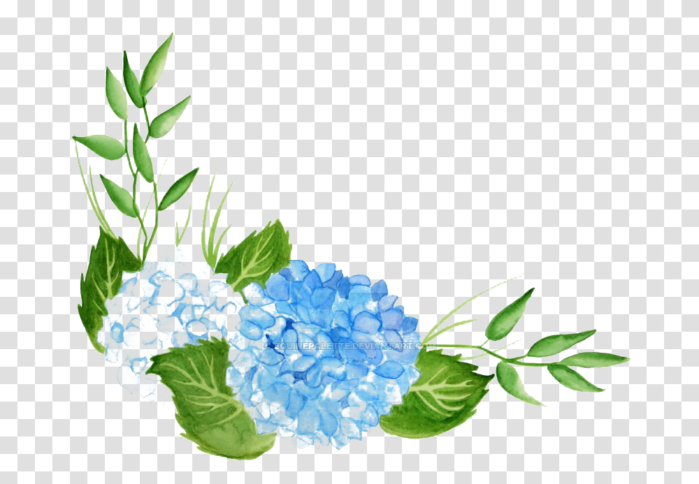 Hydrangea Hd Background Hydrangea Watercolor, Plant, Flower, Blossom, Green Transparent Png