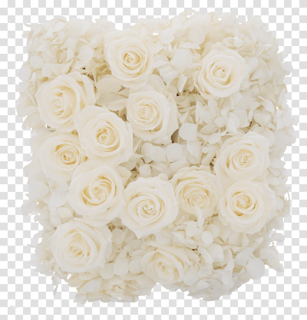 Hydrangea Rose Box Garden Roses Transparent Png