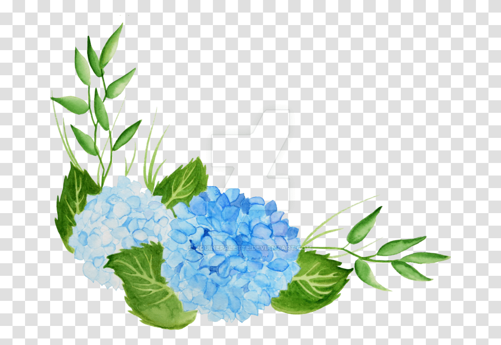 Hydrangea Watercolor Image, Plant, Floral Design Transparent Png
