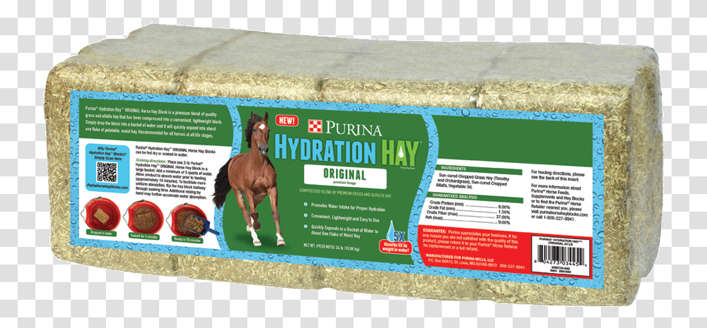 Hydrationhay Hydration Hay, Horse, Mammal, Animal, Dog Transparent Png