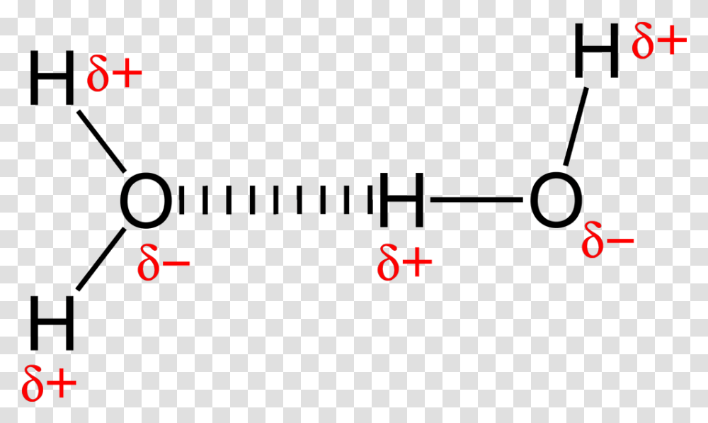 Hydrogen Bonding In Water 2d Intermolecular Forces, Alphabet, Number Transparent Png