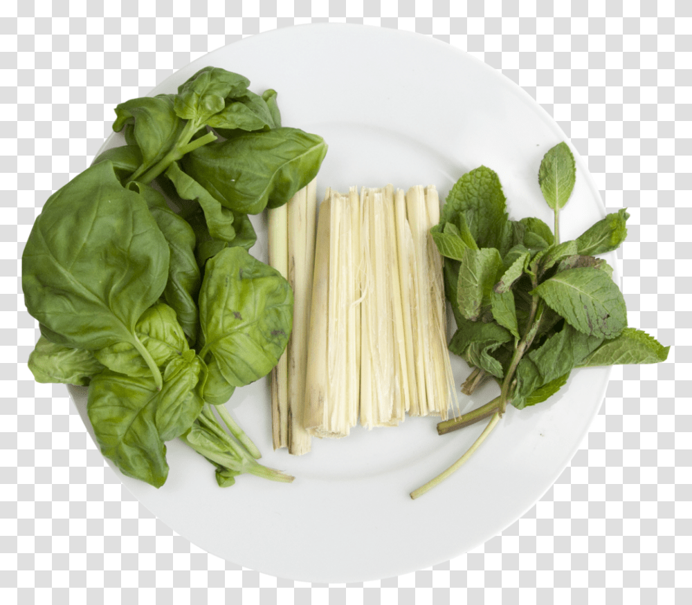 Hydroponic Cocktail Mix Spaghetti, Plant, Spinach, Vegetable, Food Transparent Png