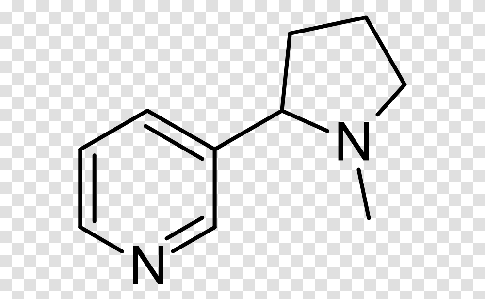 Hydroxy 6 Methylpyridine, Gray, World Of Warcraft Transparent Png